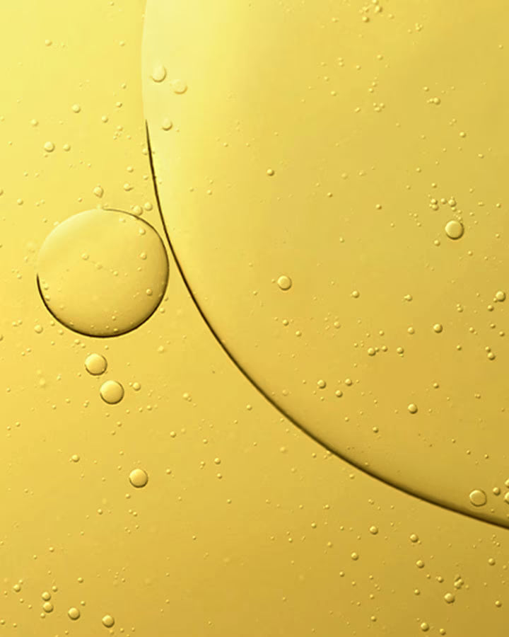 The Renewal Oil