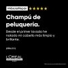 L'Oréal Professionnel Serie Expert Absolut Repair Champú Champús de peluquería
