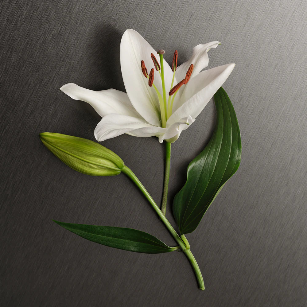 Eternity Eau de Parfum – Duración floral intensa