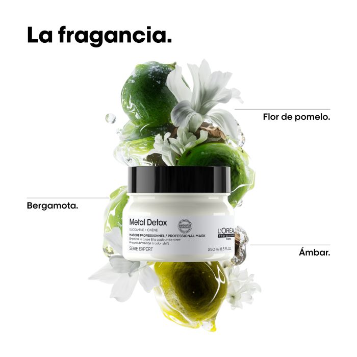 L'Oréal Professionnel Metal Detox Mascarilla Protectora Anti-Metales Mascarillas profesionales de peluquería
