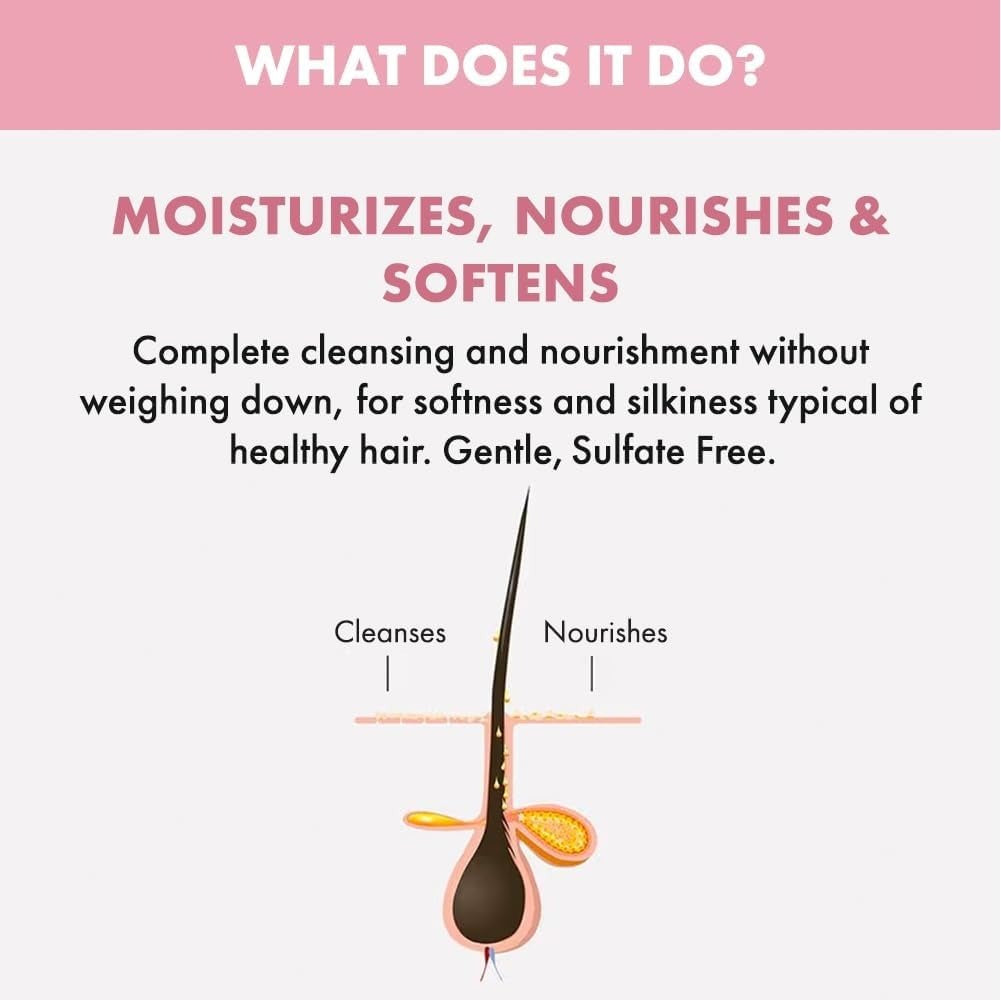 Champú Alfaparf Semi Di Lino Moisture Nutritive Low