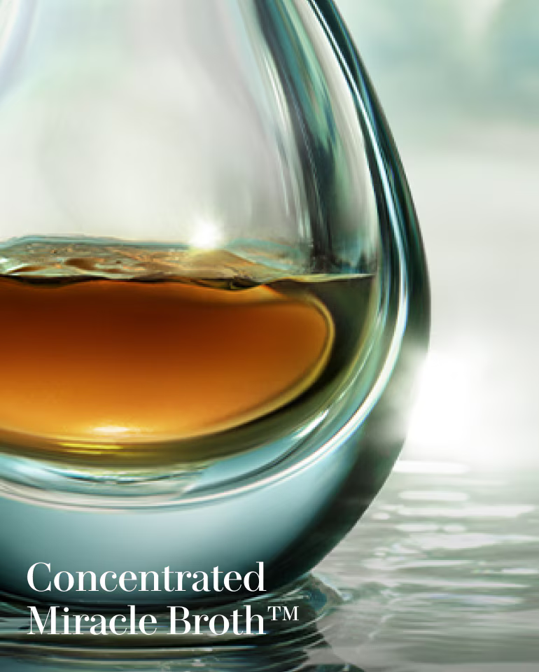 The Concentrate