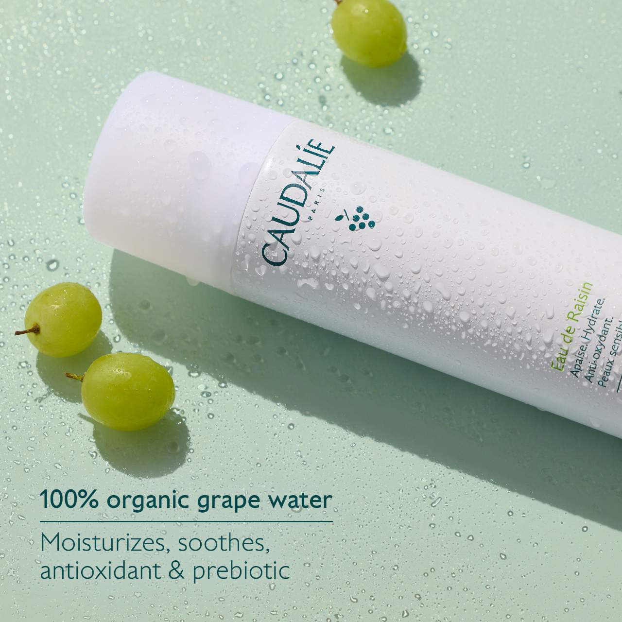 Mini bruma facial hidratante de agua de uva