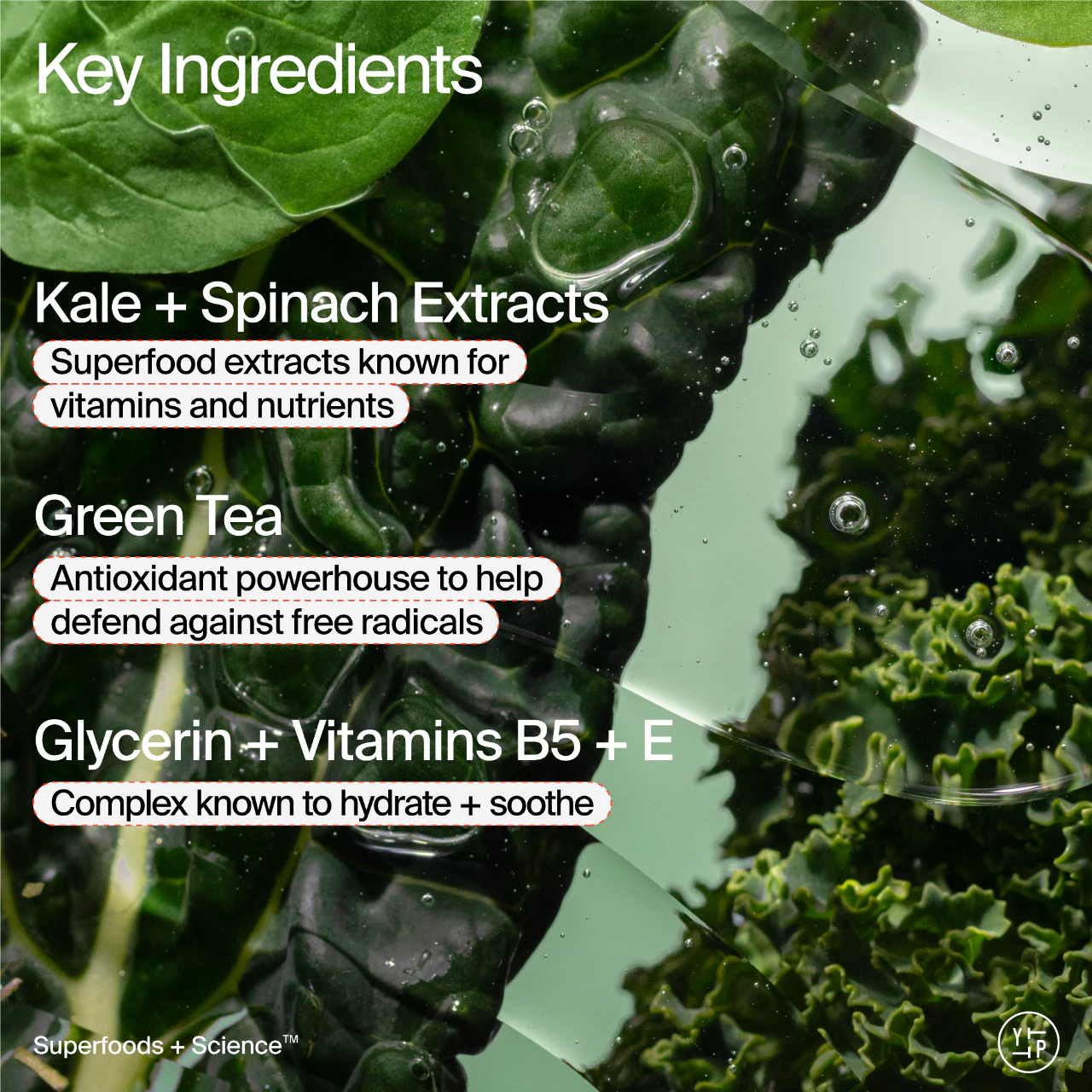 Limpiador suave antioxidante rellenable Superfood