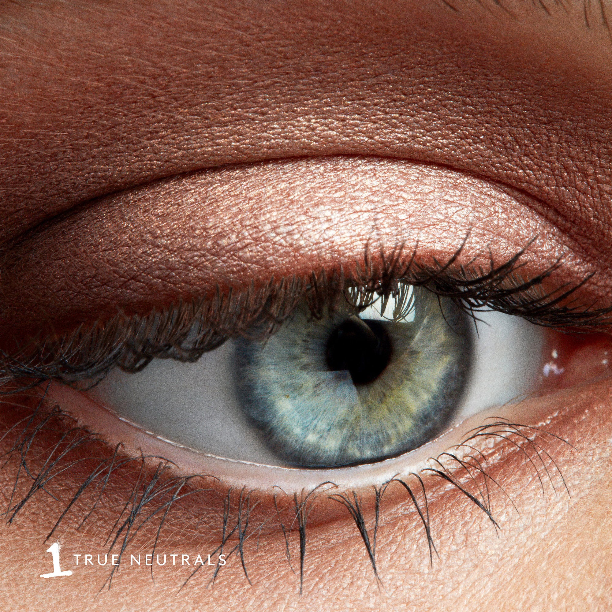 Paleta de sombras de ojos Snap Shadows Mix &amp; Match