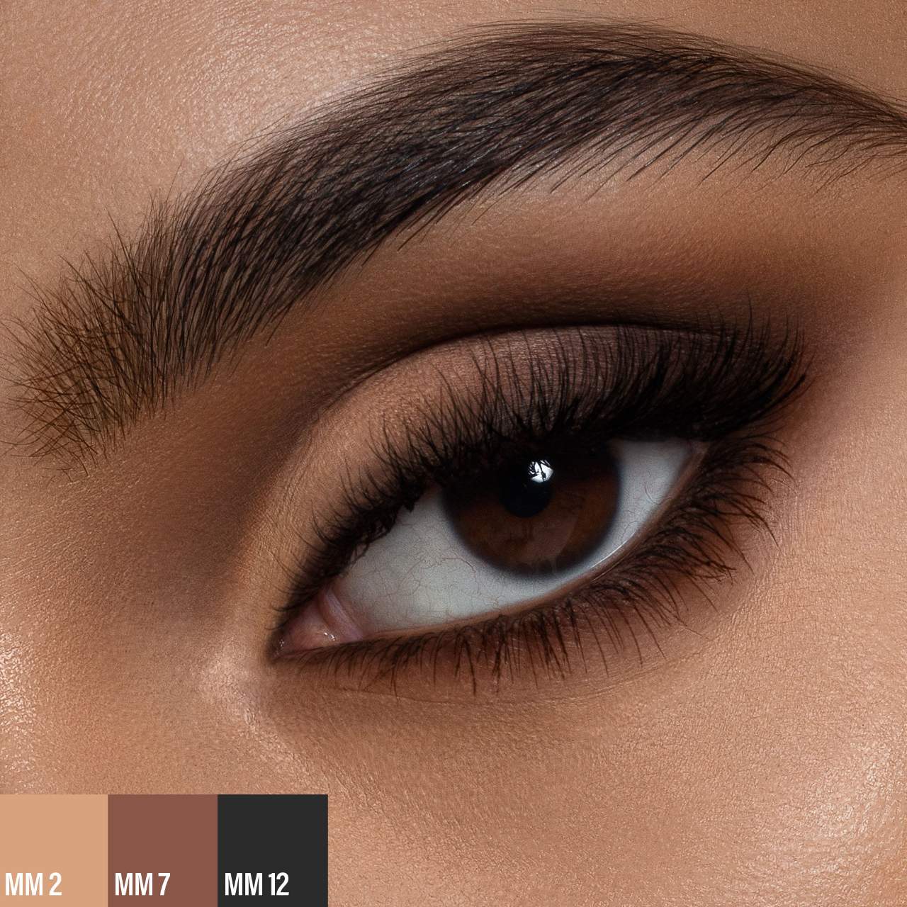 Paleta de sombras de ojos Master Mattes®: La original