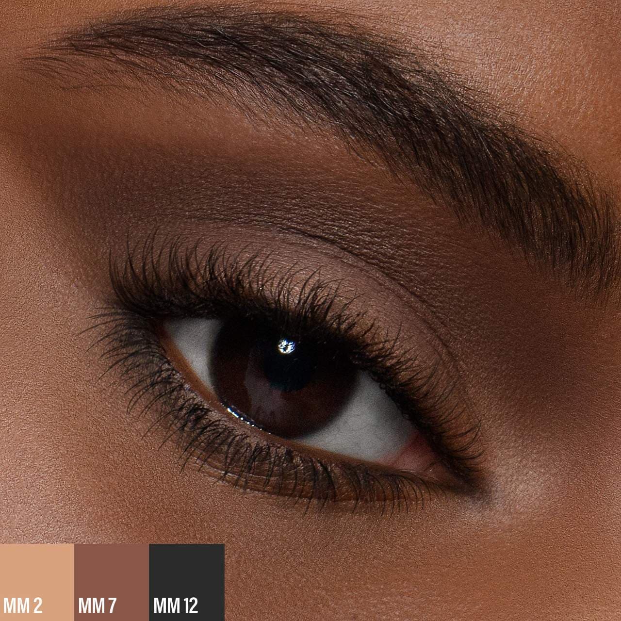 Paleta de sombras de ojos Master Mattes®: La original