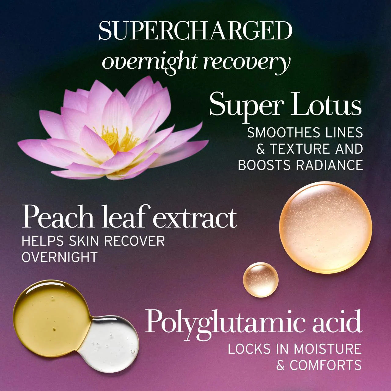 Crema de noche renovadora Lotus Youth Preserve Radiance