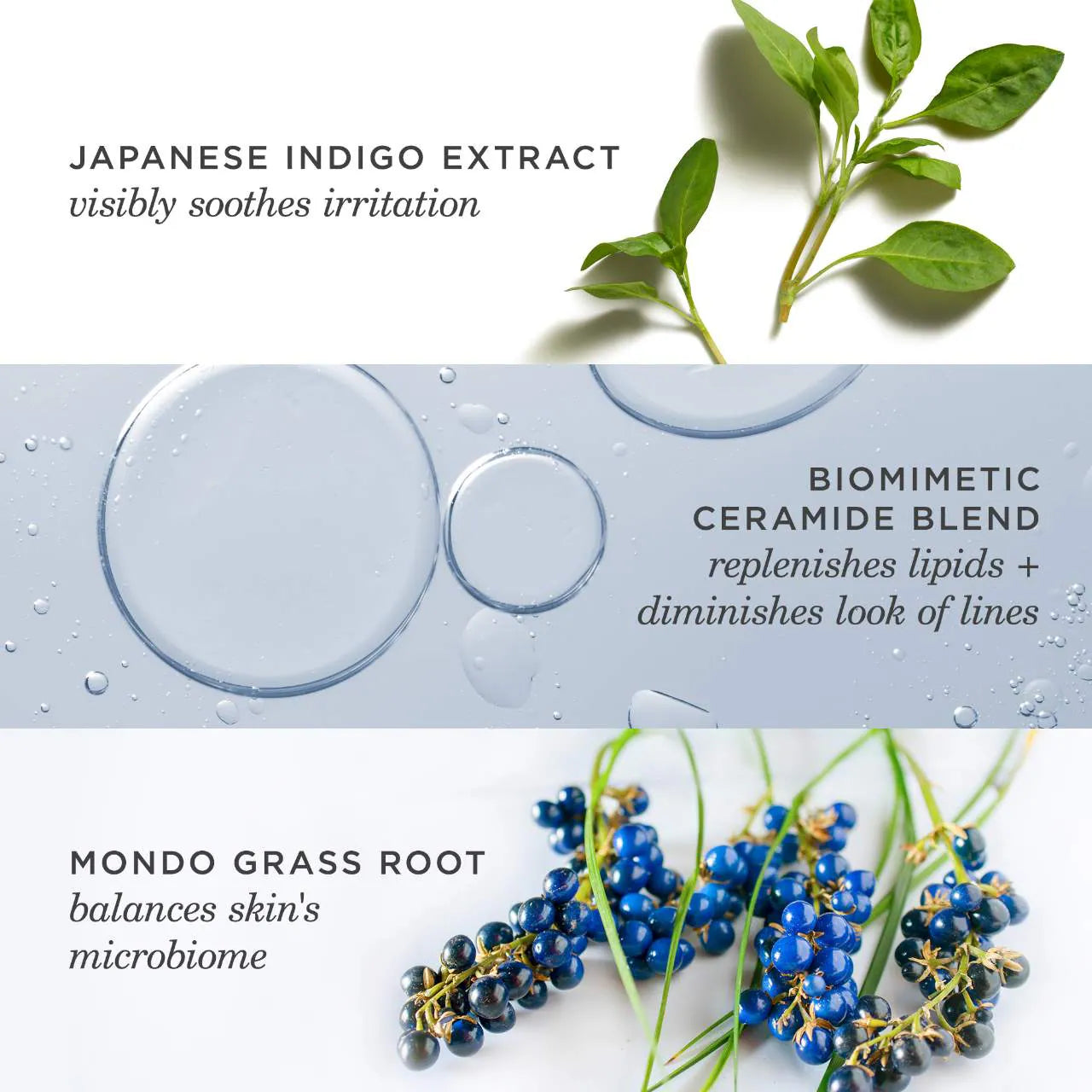 Crema barrera reductora de enrojecimiento Indigo Overnight Repair