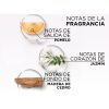 L'Oréal París Champú Glycolic Gloss Champús